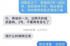 林芝融资清欠服务