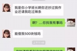 林芝融资清欠服务